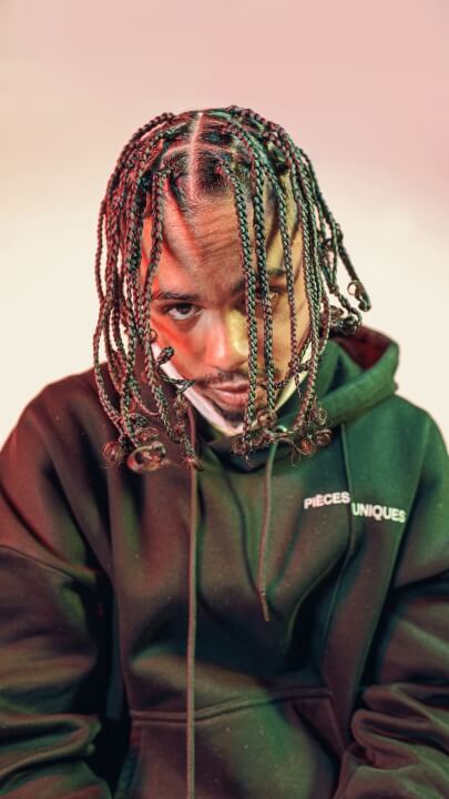 Box Braids Ideas